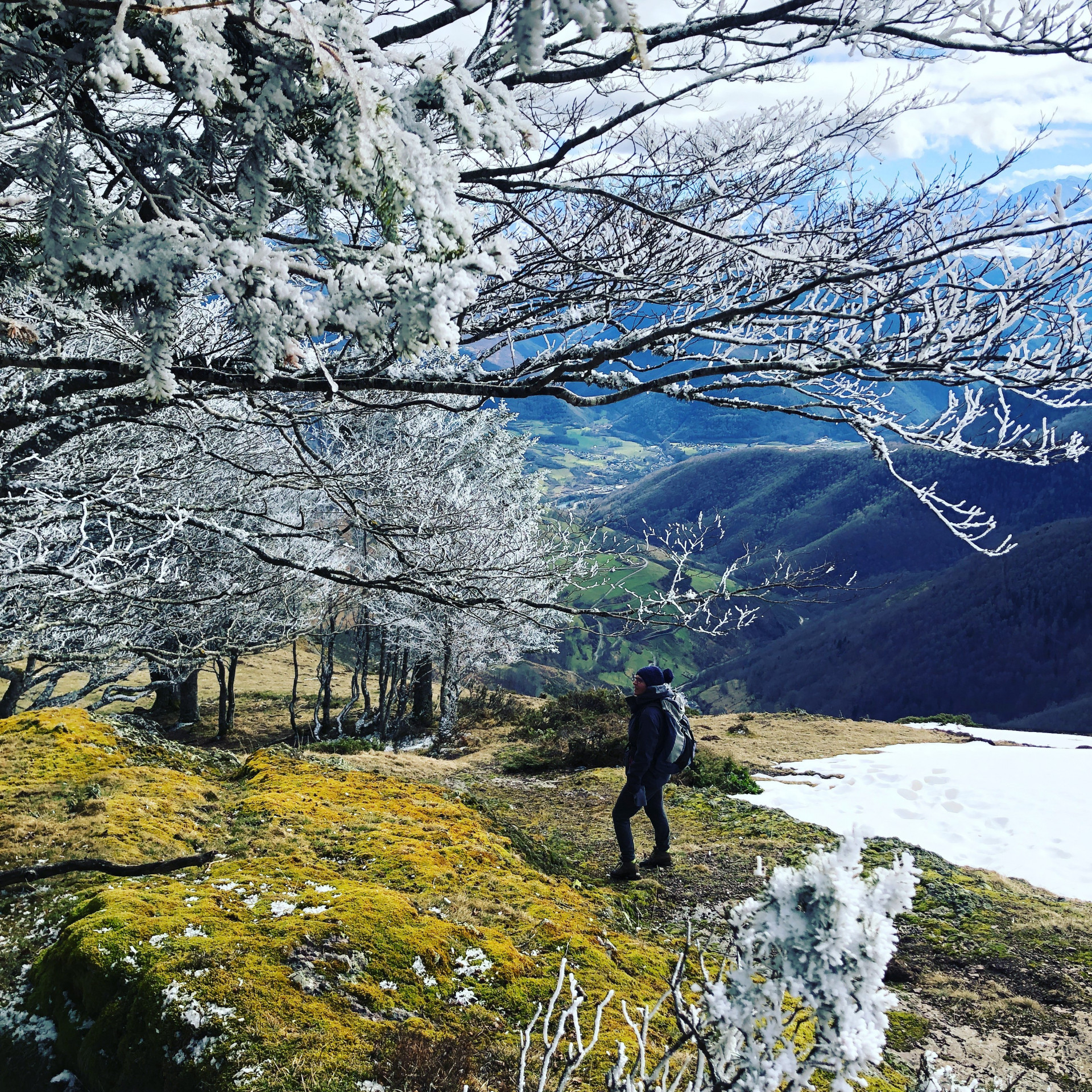 col-d-aspin-f-vrier-2021-294-296