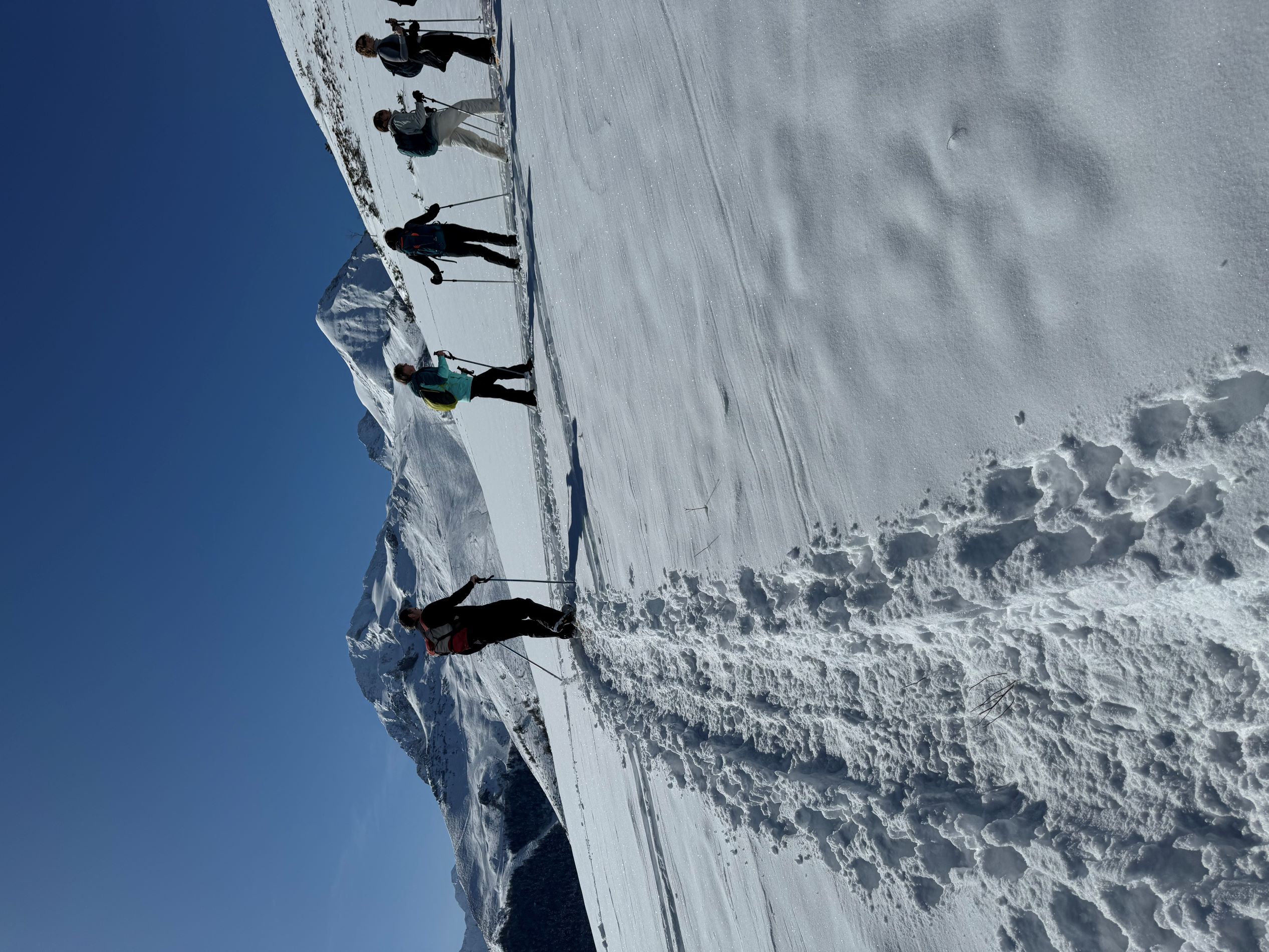 Groupes, CE, Associations (min 15 pers)