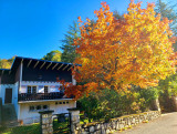 Chalet chêne roux