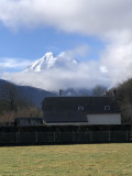 img-5556-6941793