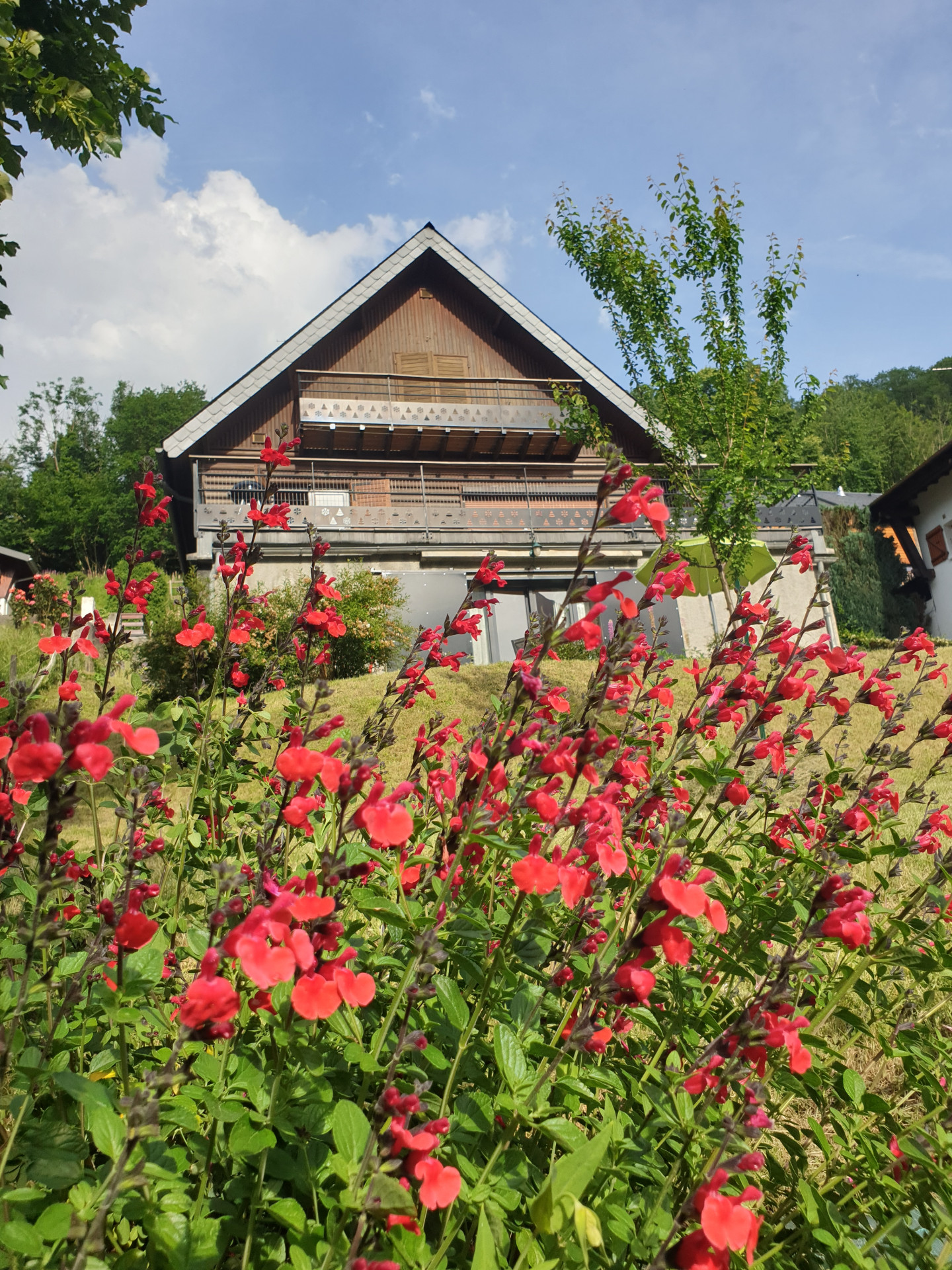 20250531-183531-6923993