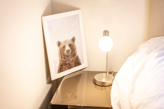 BRUN Chalet Comfort @Birrien cadre 3