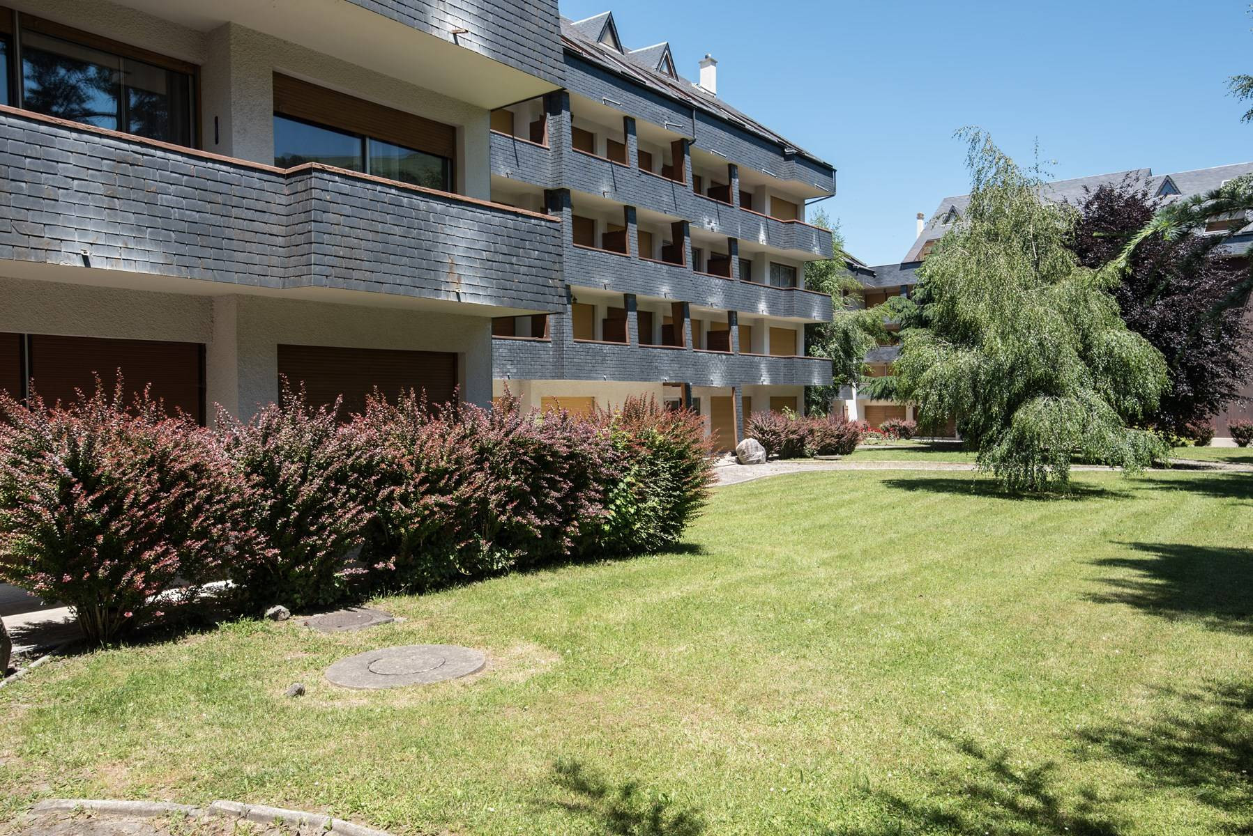 _clients_106517002_photos_333m_8594294 _clients_106517002_photos_333m_8594294