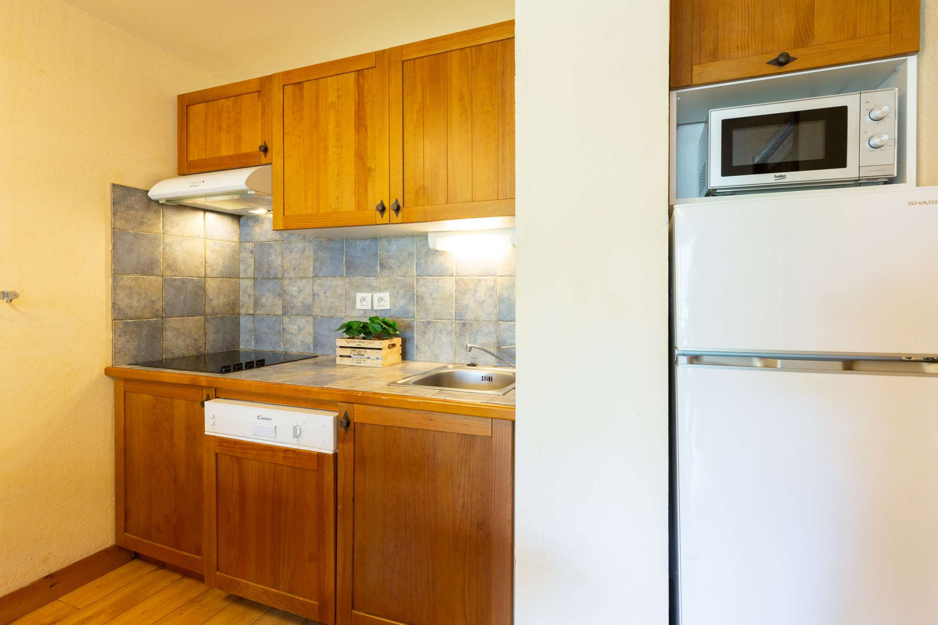 _clients_106517002_photos_480c_8306974