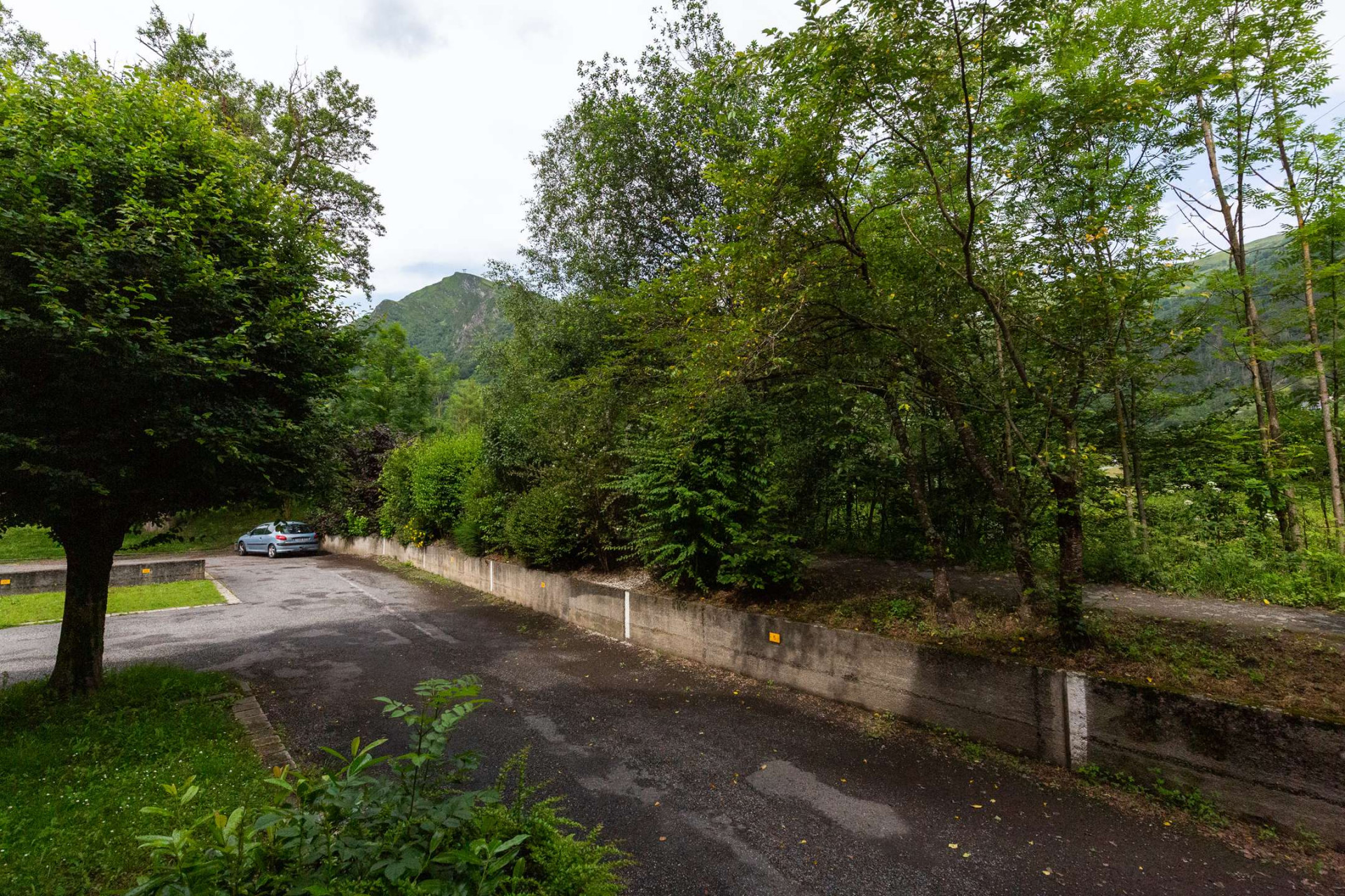 _clients_106517002_photos_554l_8107246