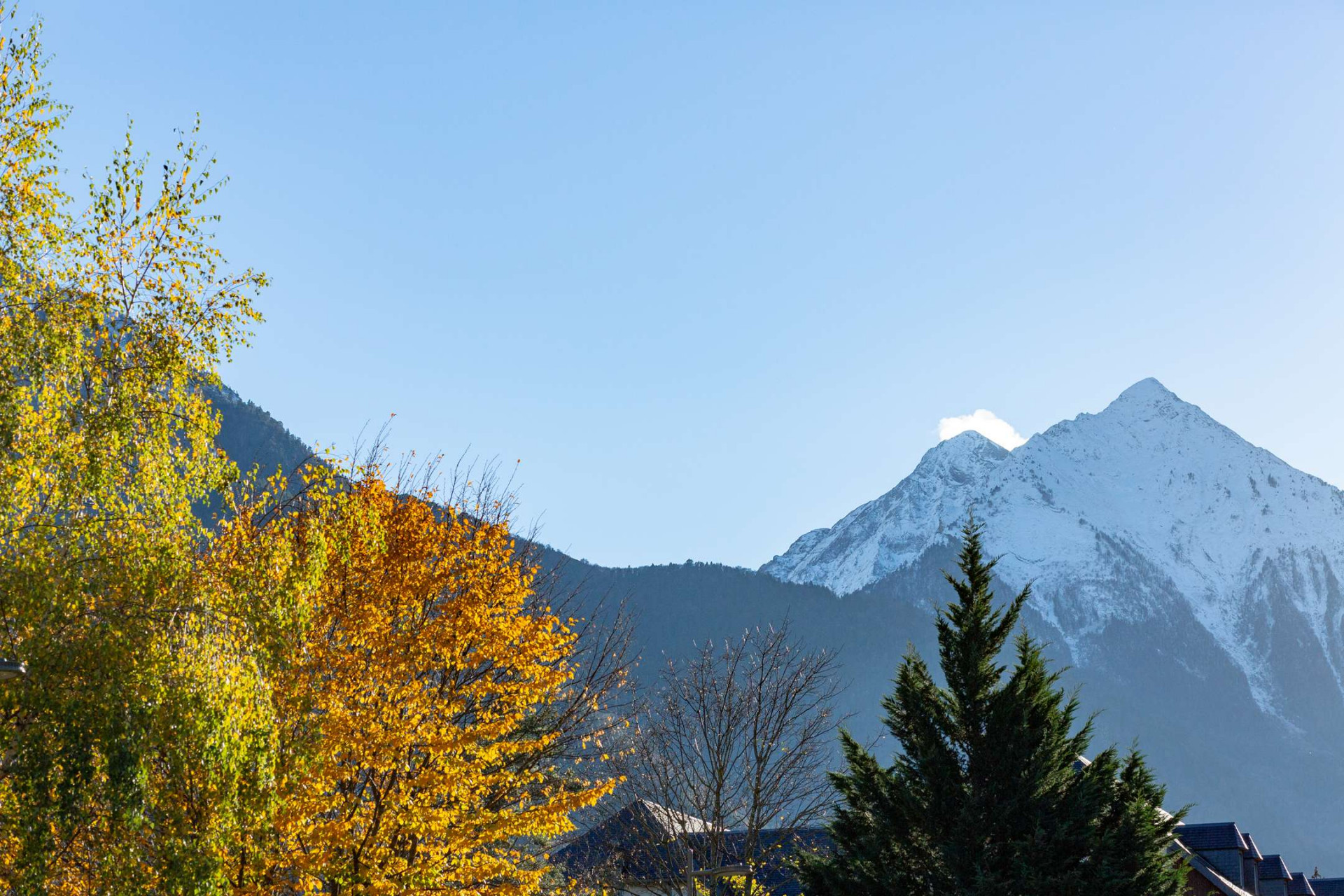 _clients_106517002_photos_583m_7676653 _clients_106517002_photos_583m_7676653