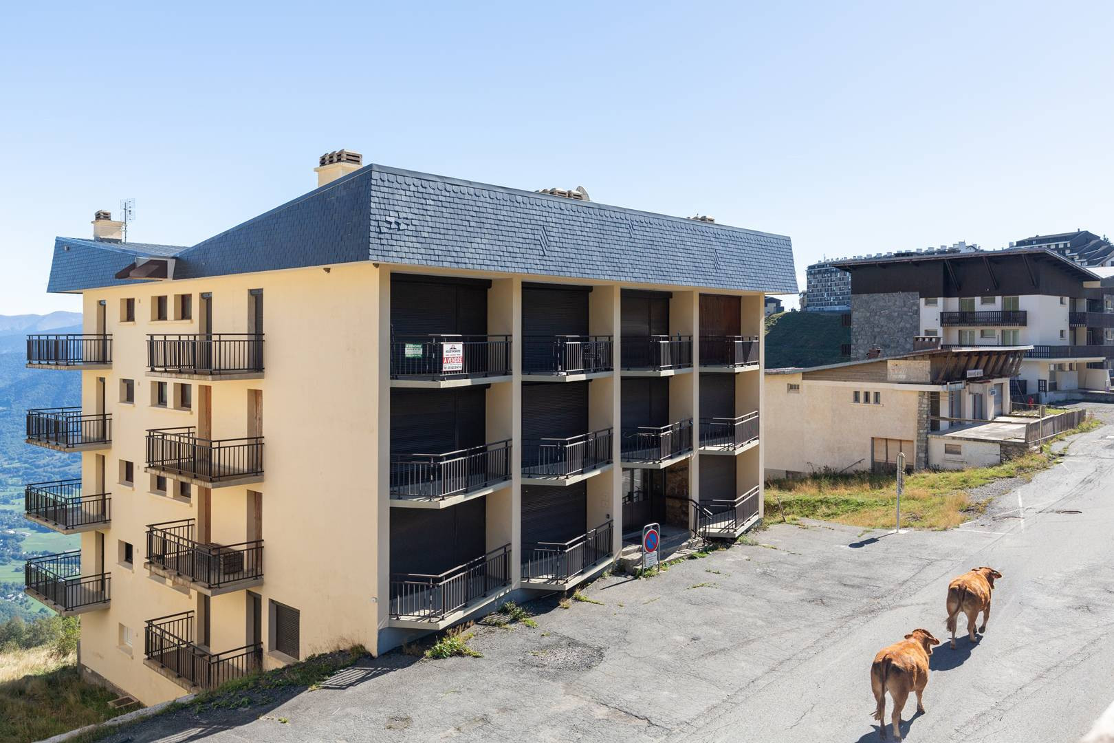 _clients_106517002_photos_617q_8572474 _clients_106517002_photos_617q_8572474