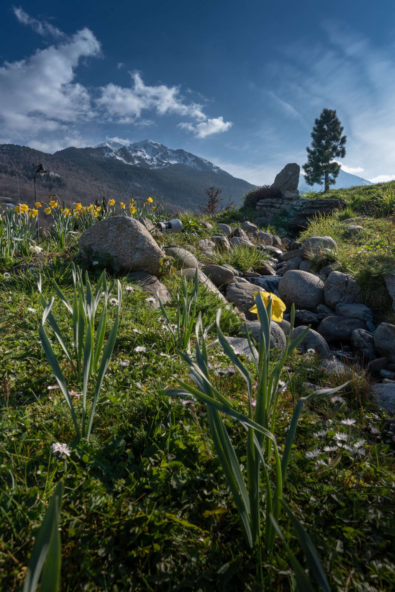 _clients_106517002_photos_620q_8476521