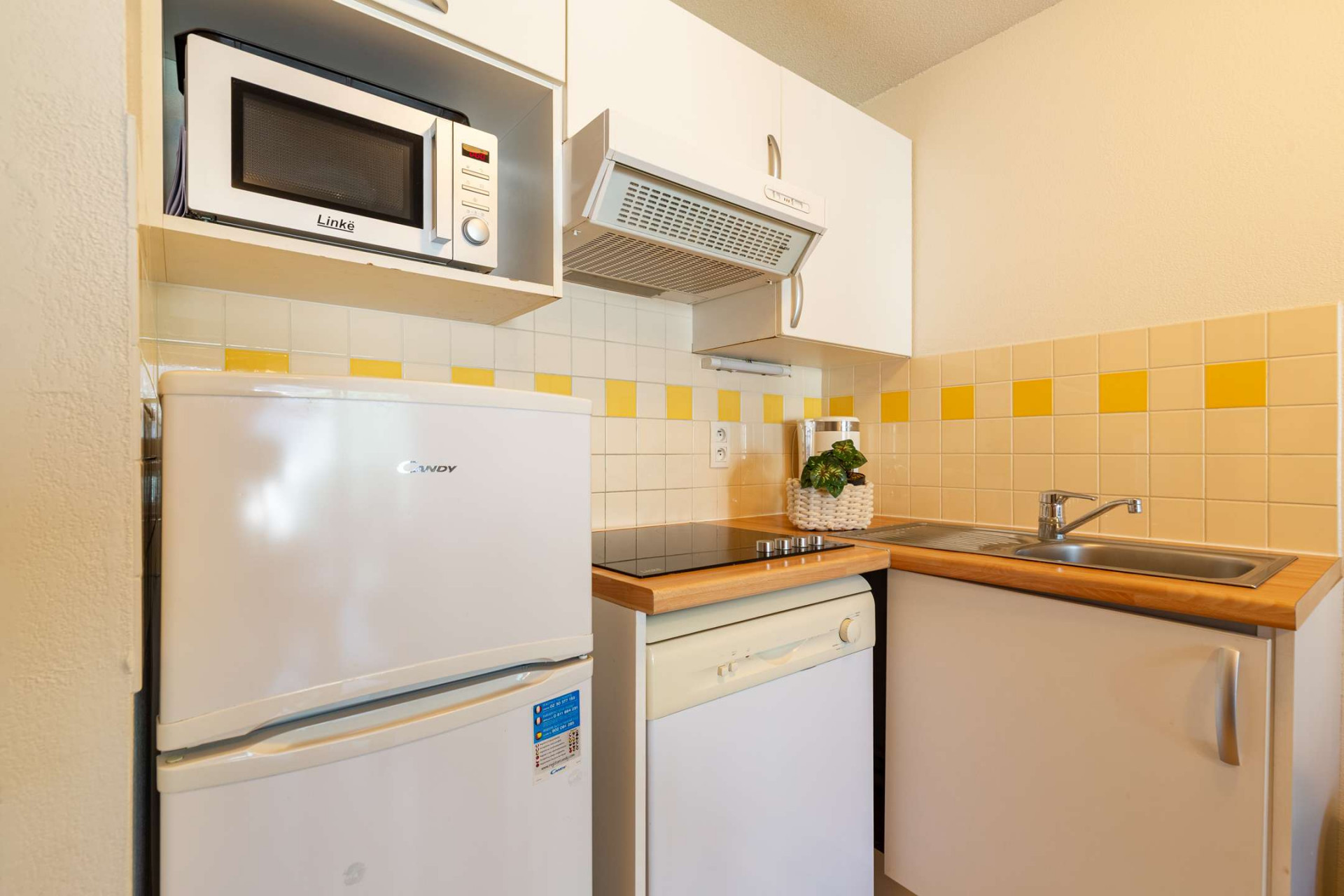 _clients_106517002_photos_629g_8716279