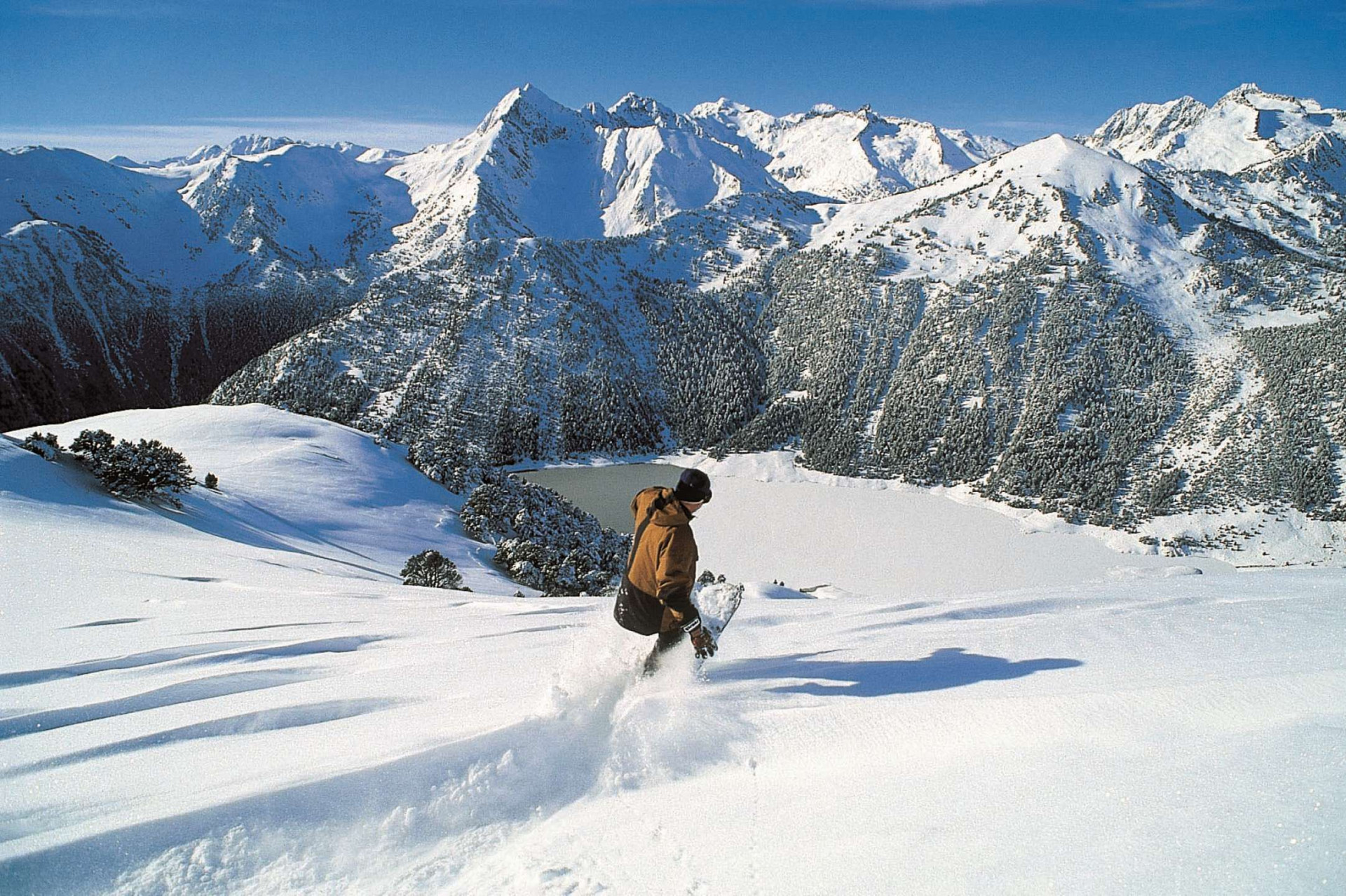 _clients_106517003_photos_394n_7896333 _clients_106517003_photos_394n_7896333