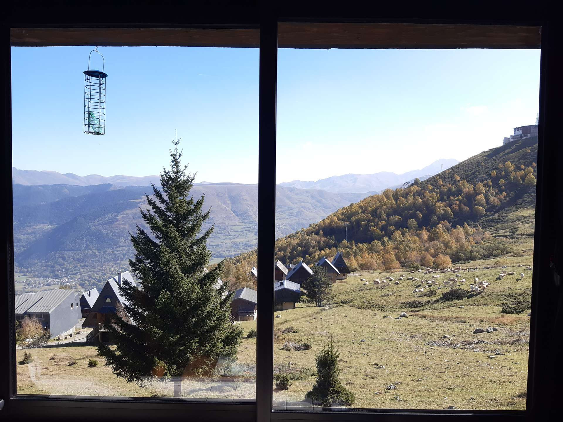 _clients_106517003_photos_754l_9373164