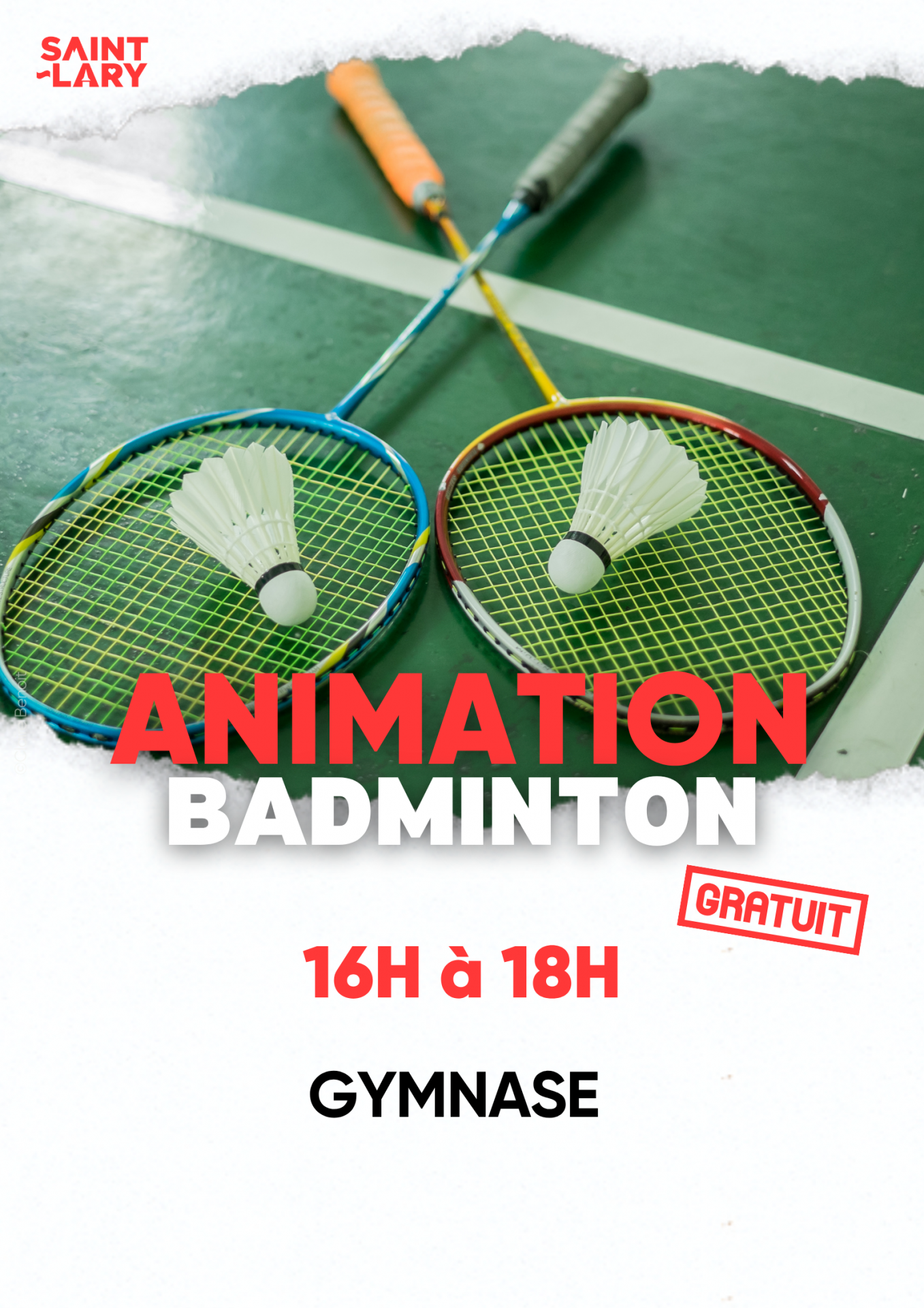 badminton-9676211