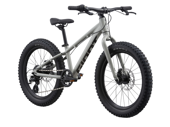 giant-stp-20-evo2-store-removebg-preview-3037223