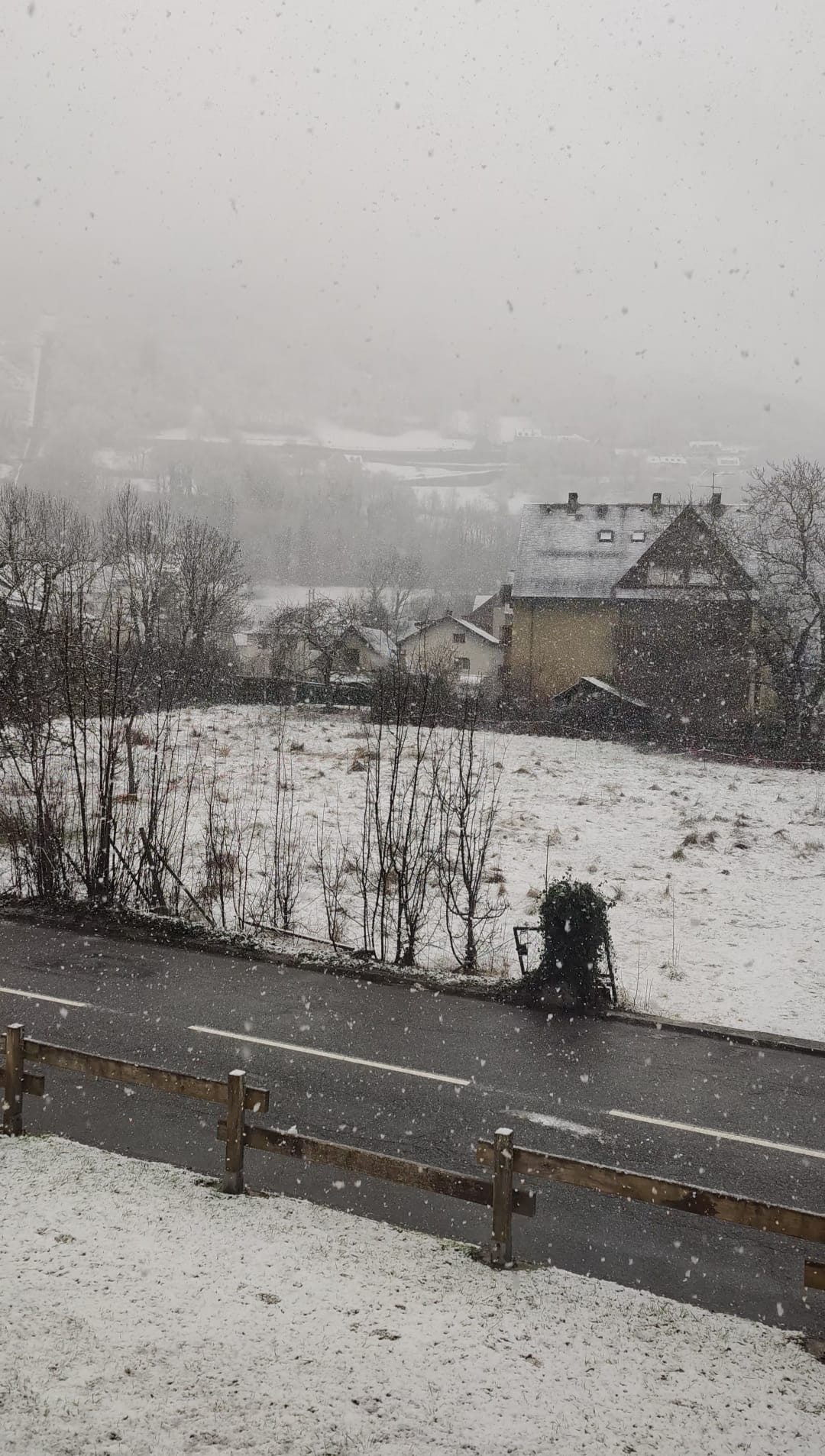 whatsapp-image-2026-02-08-at-15-37-45-8453066