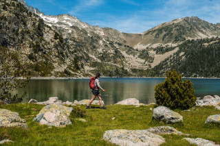 3-chiens-pour-1-traverse-e-randonn-e-lac-de-la-r-serve-du-n-ouvielle-6706138