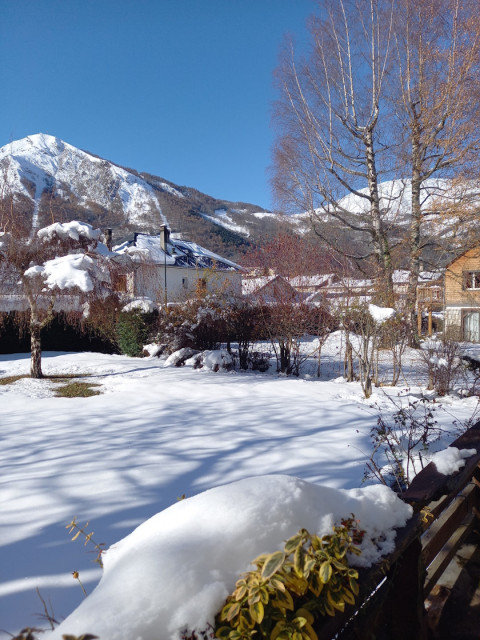 gentiane hiver devant gentiane hiver devant