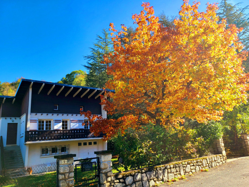 Chalet chêne roux