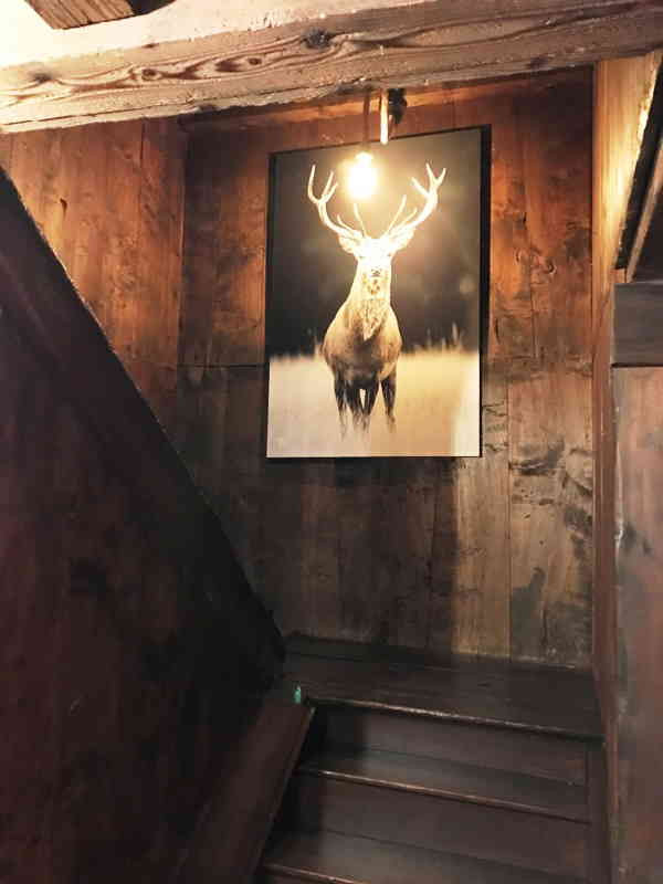 VIELLARD ferme de soulan - Mouflon _couloir_5 (1) - © M. Viellard VIELLARD ferme de soulan - Mouflon _couloir_5 (1)