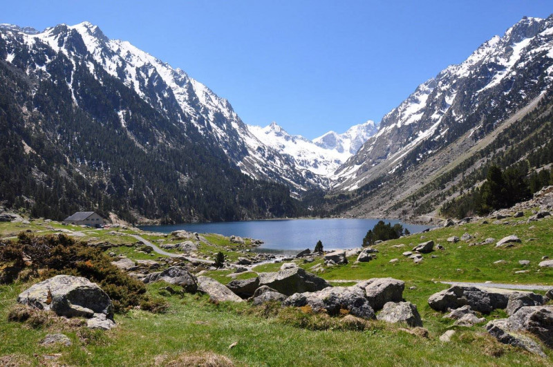 _clients_106517002_photos_476j_7942179