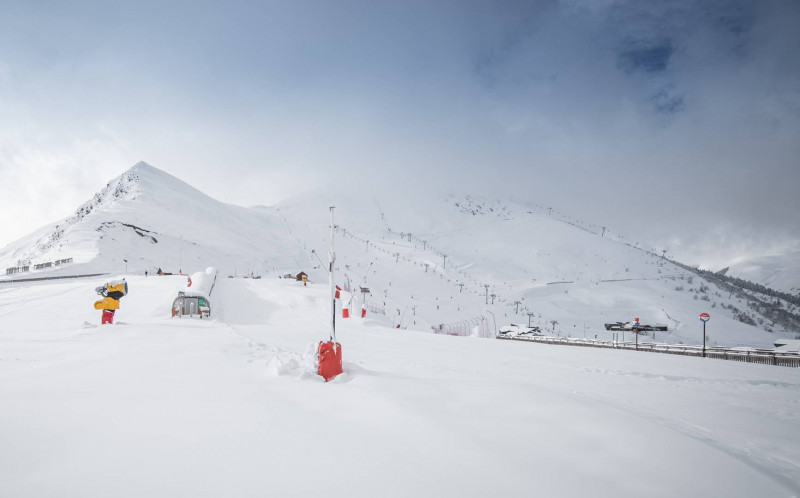 _clients_106517002_photos_561j_7948990