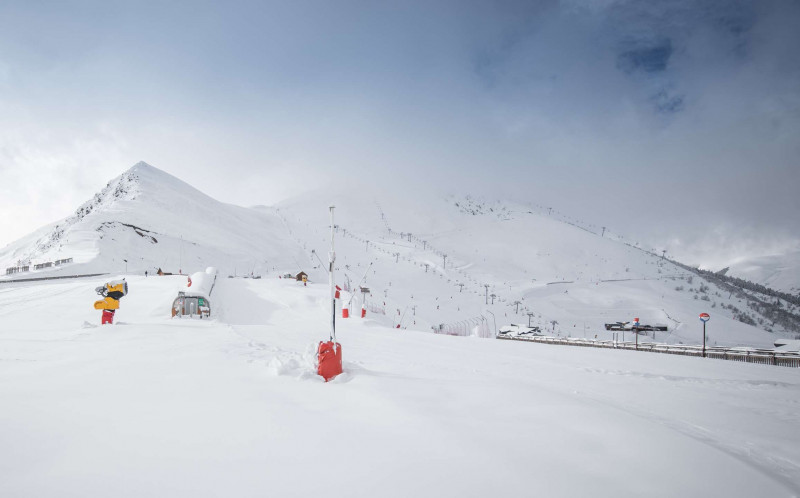 _clients_106517002_photos_643k_8506766