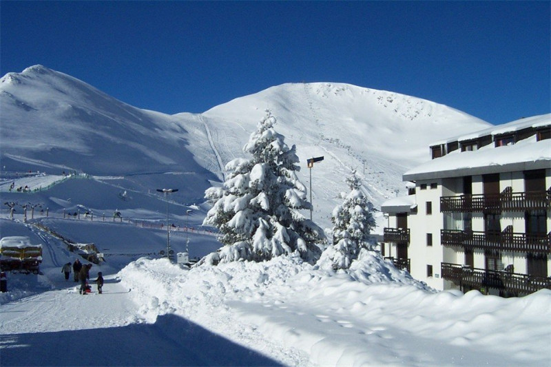 _clients_106517003_photos_248i_8309809