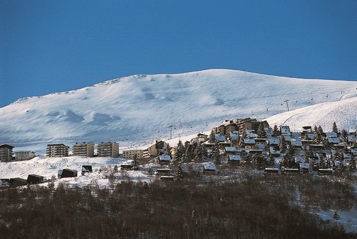 _clients_106517003_photos_248j_8133863 _clients_106517003_photos_248j_8133863