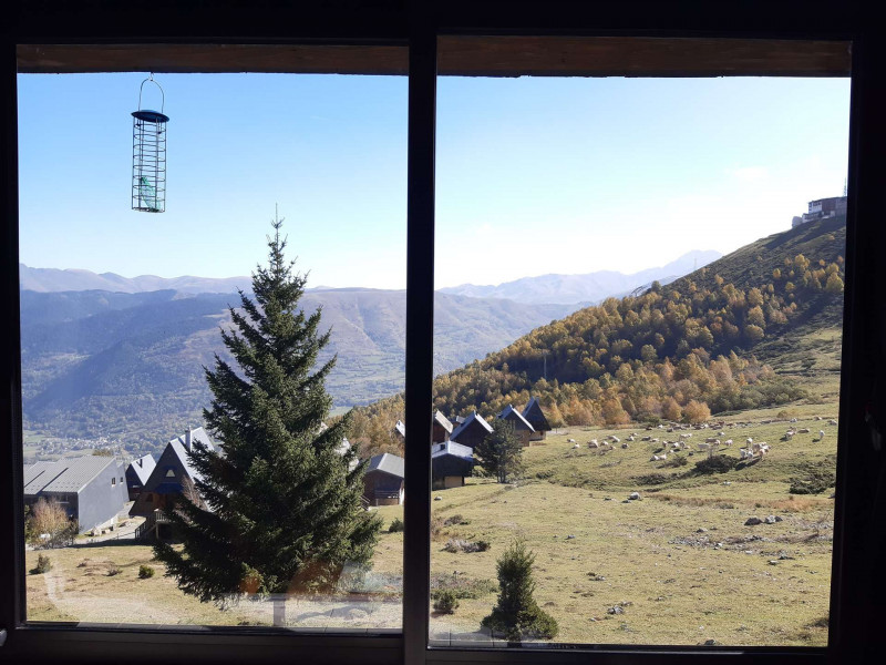 _clients_106517003_photos_740l_7774966