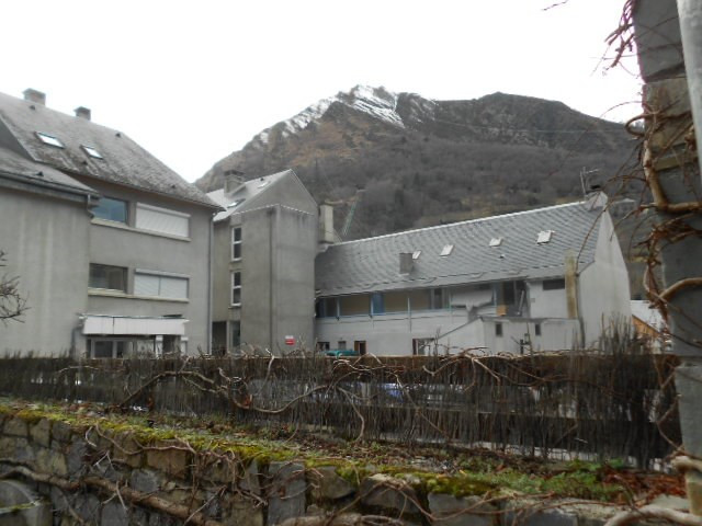 _clients_106517101_photos_42i_8072616