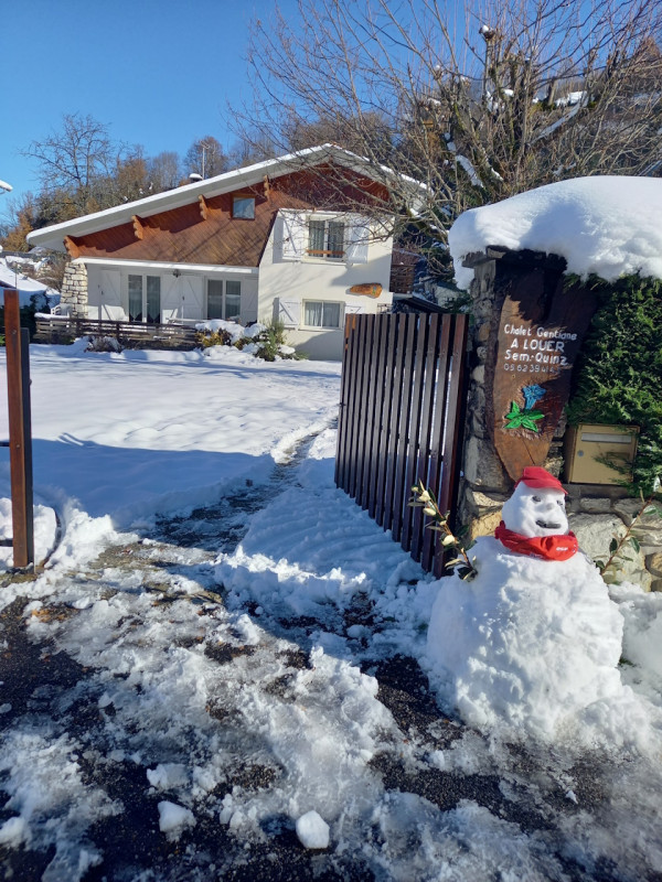 bonhomme neige gentiane